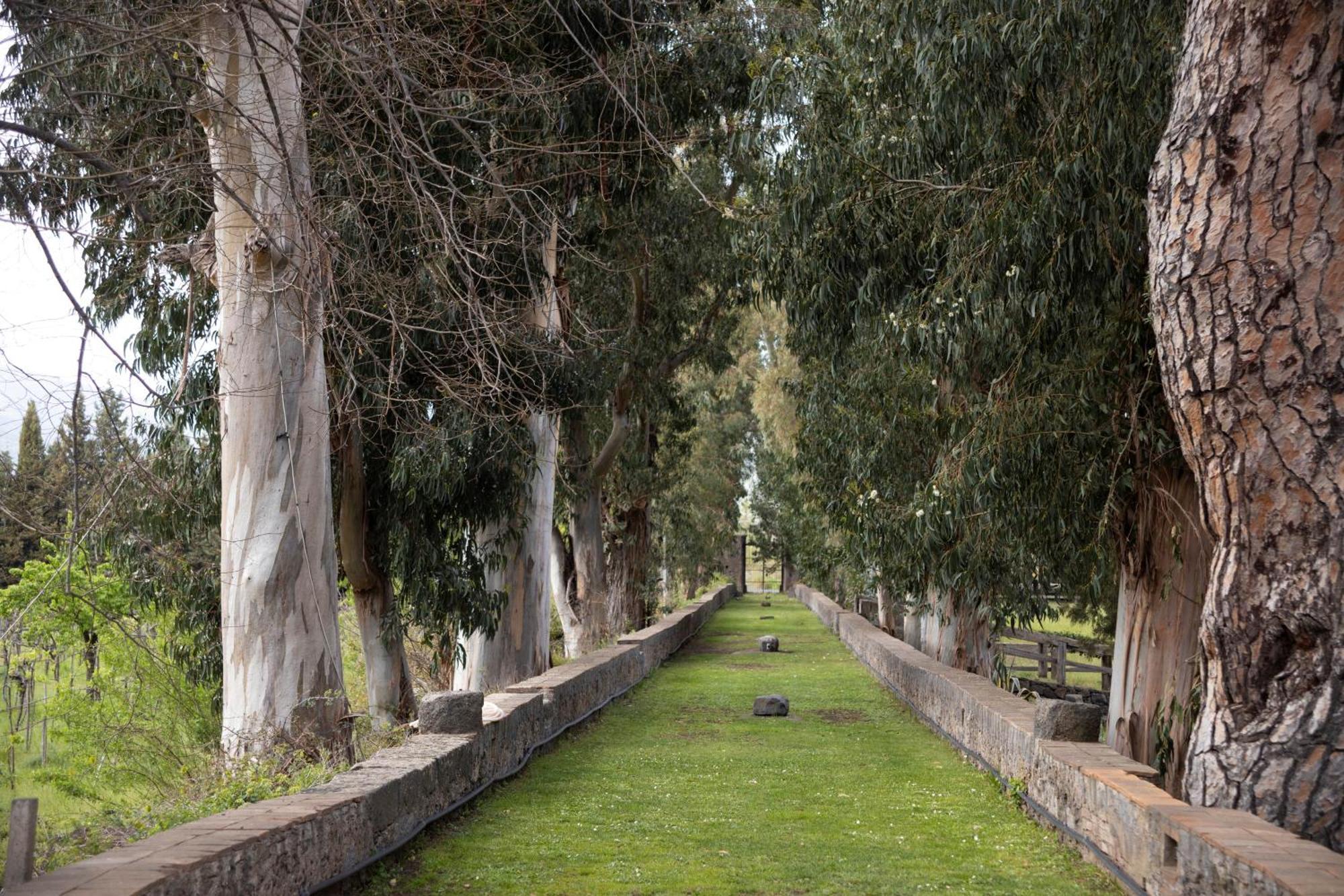 Parco Statella Villa Montelaguardia Luaran gambar
