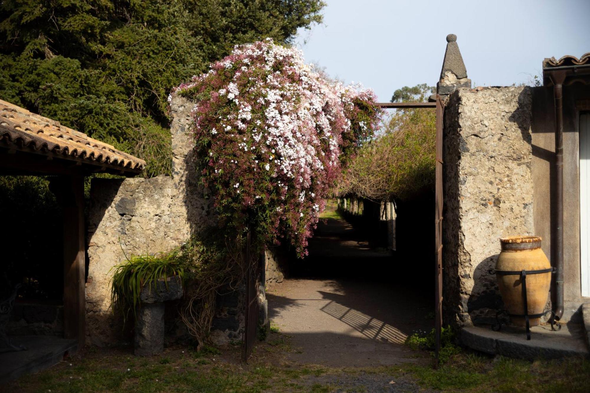Parco Statella Villa Montelaguardia Luaran gambar