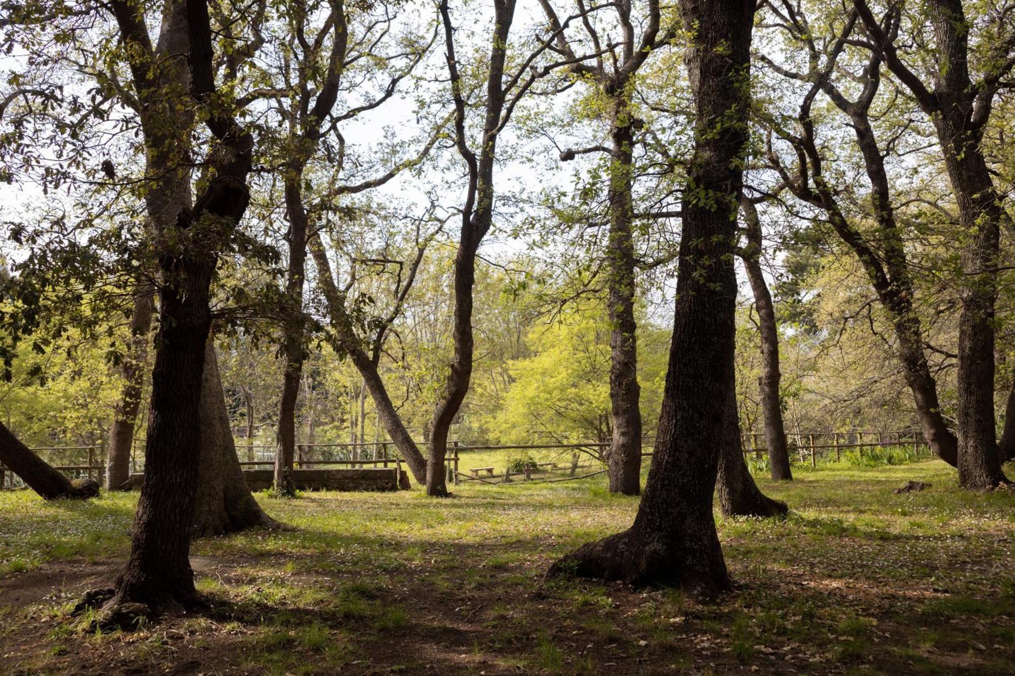 Parco Statella Villa Montelaguardia Luaran gambar